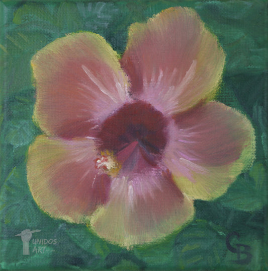 Hibiscus rosa sinensis - Original Painting