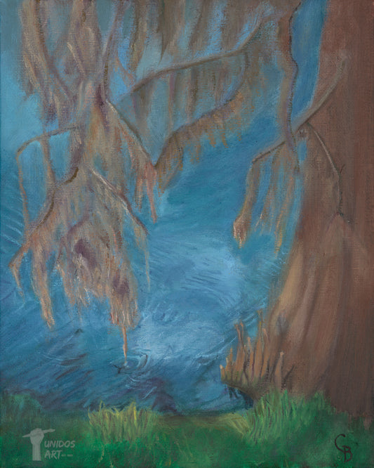 Reflections on Wekiva - Giclée Print