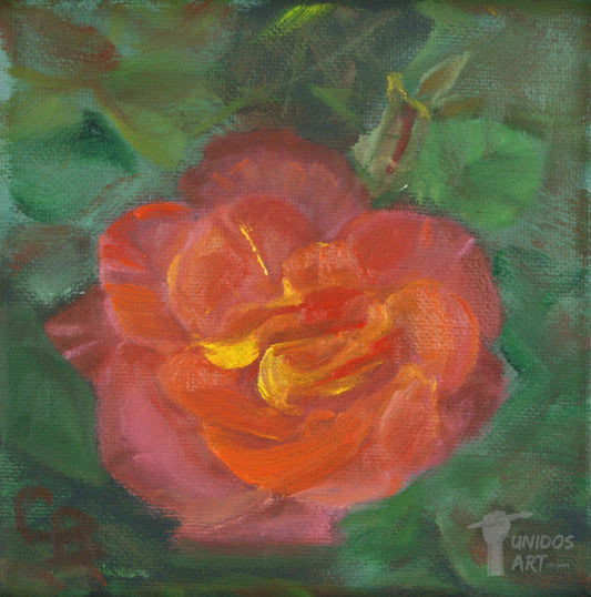 Rosa rosa - Original Painting
