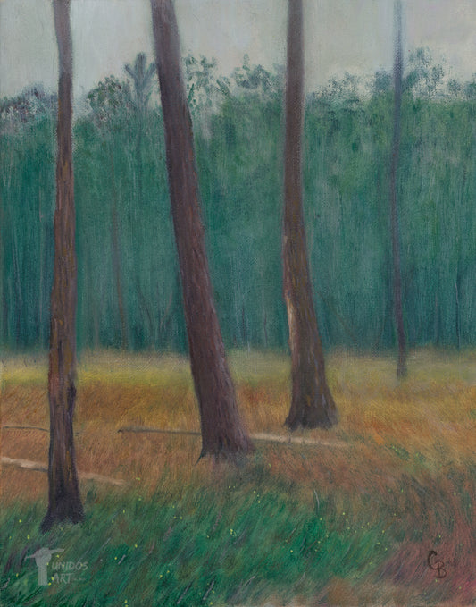 Savanna Haze at Lake Louisa - Giclée Print